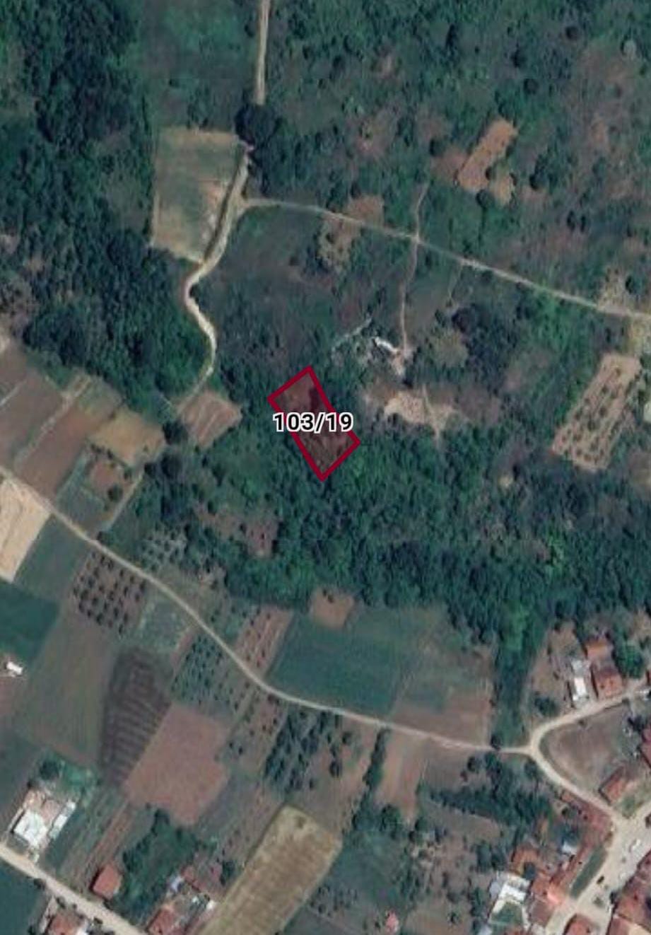 Fotoğraf
