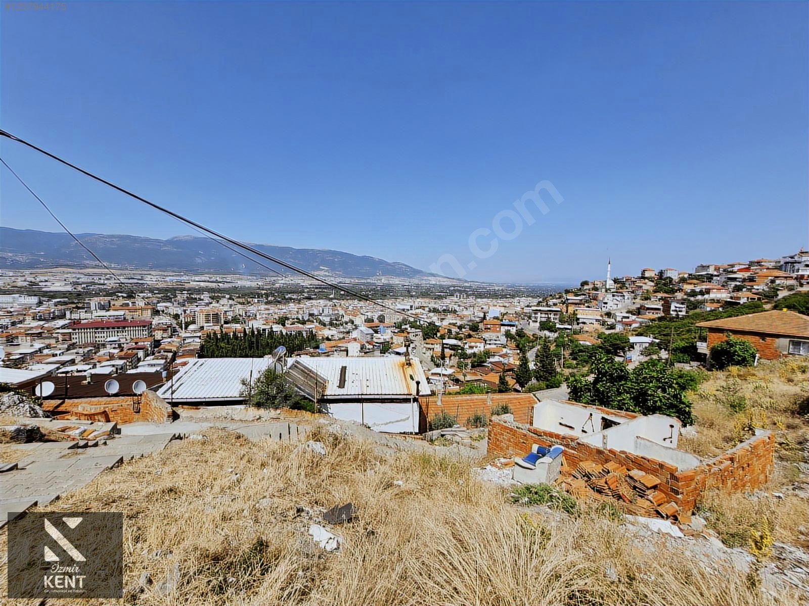Fotoğraf