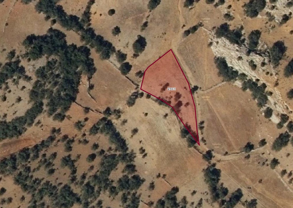Fotoğraf