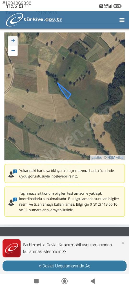 Fotoğraf