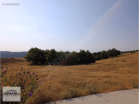 ASFALT KENRARI, DOĞA İÇERİSİNDE,4.200 M2 SATILIK ARAZİ