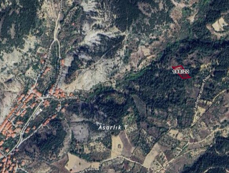 Fotoğraf