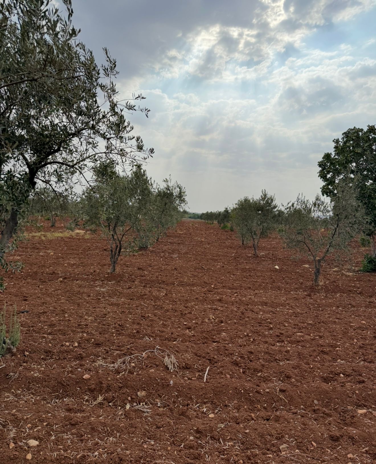 İlan Fotoğrafı