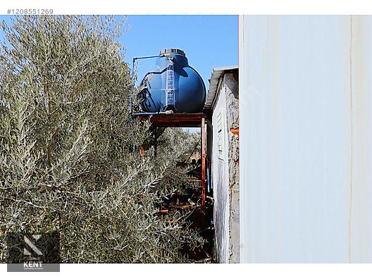 Fotoğraf