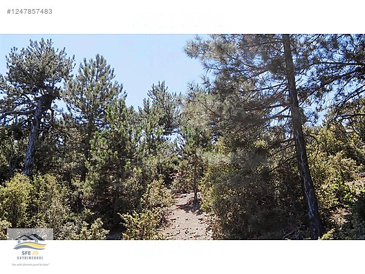 DENİZLİ GÜZELPINAR'DA 6845m2 SATILIK MUHTEŞEM ARAZİ