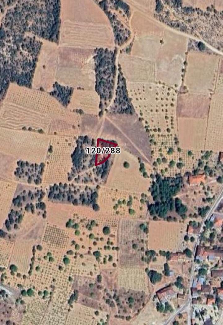Fotoğraf