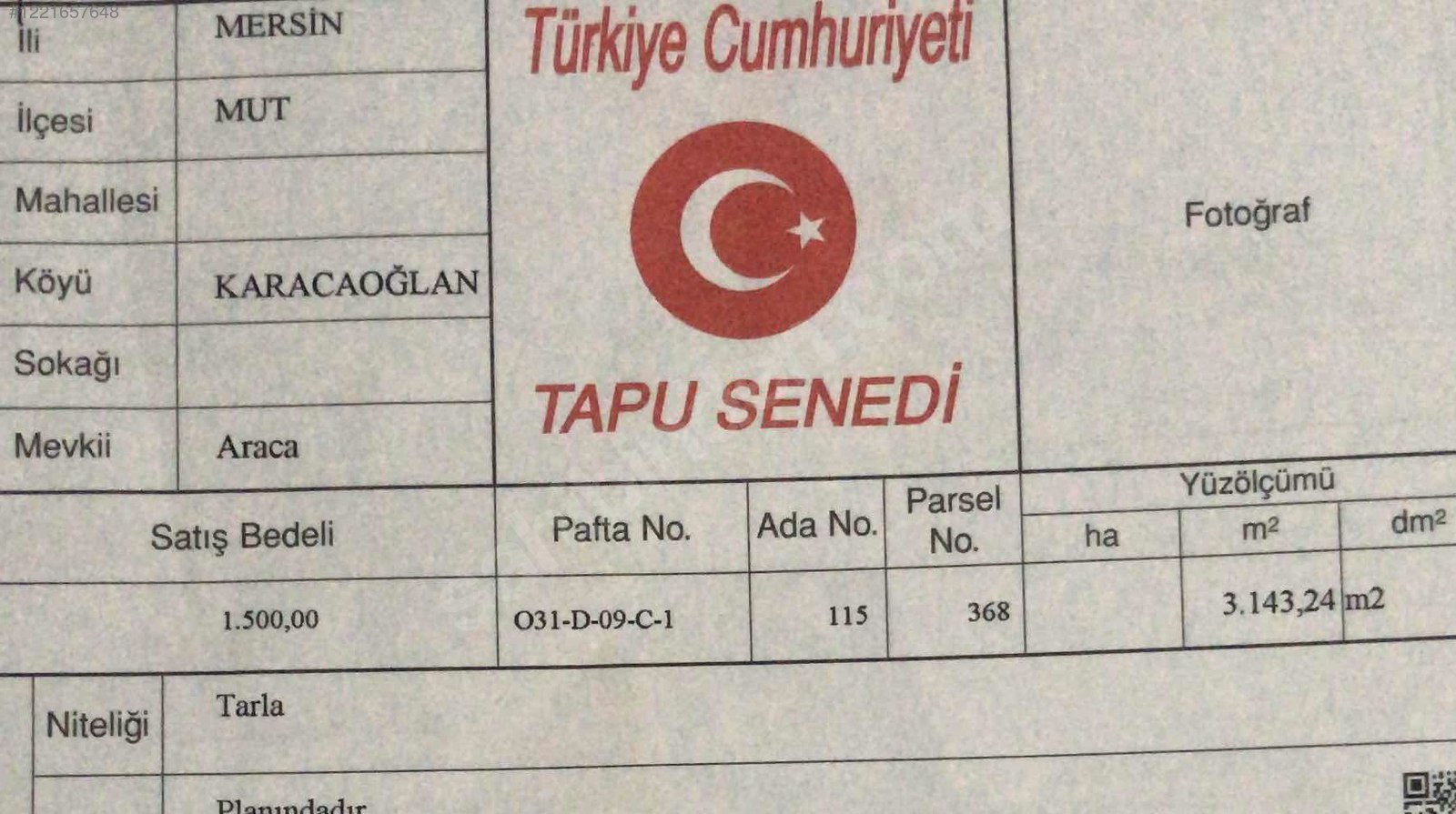 Fotoğraf