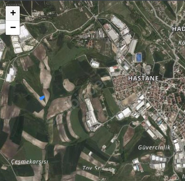 Fotoğraf