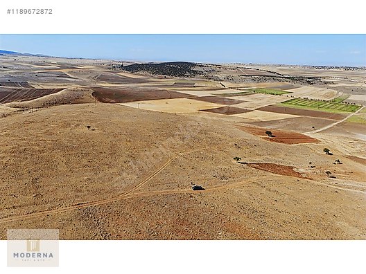 ESKİŞEHİR SEYİTGAZİ AYVALI 2440 M2 KADASTRO YOLA CEPHELİ ARAZİ