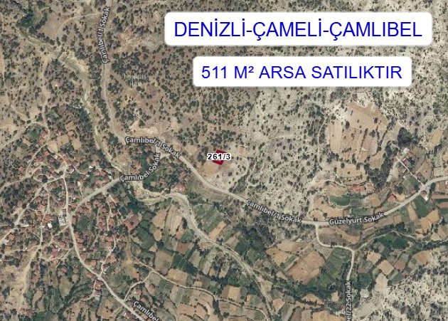 Fotoğraf