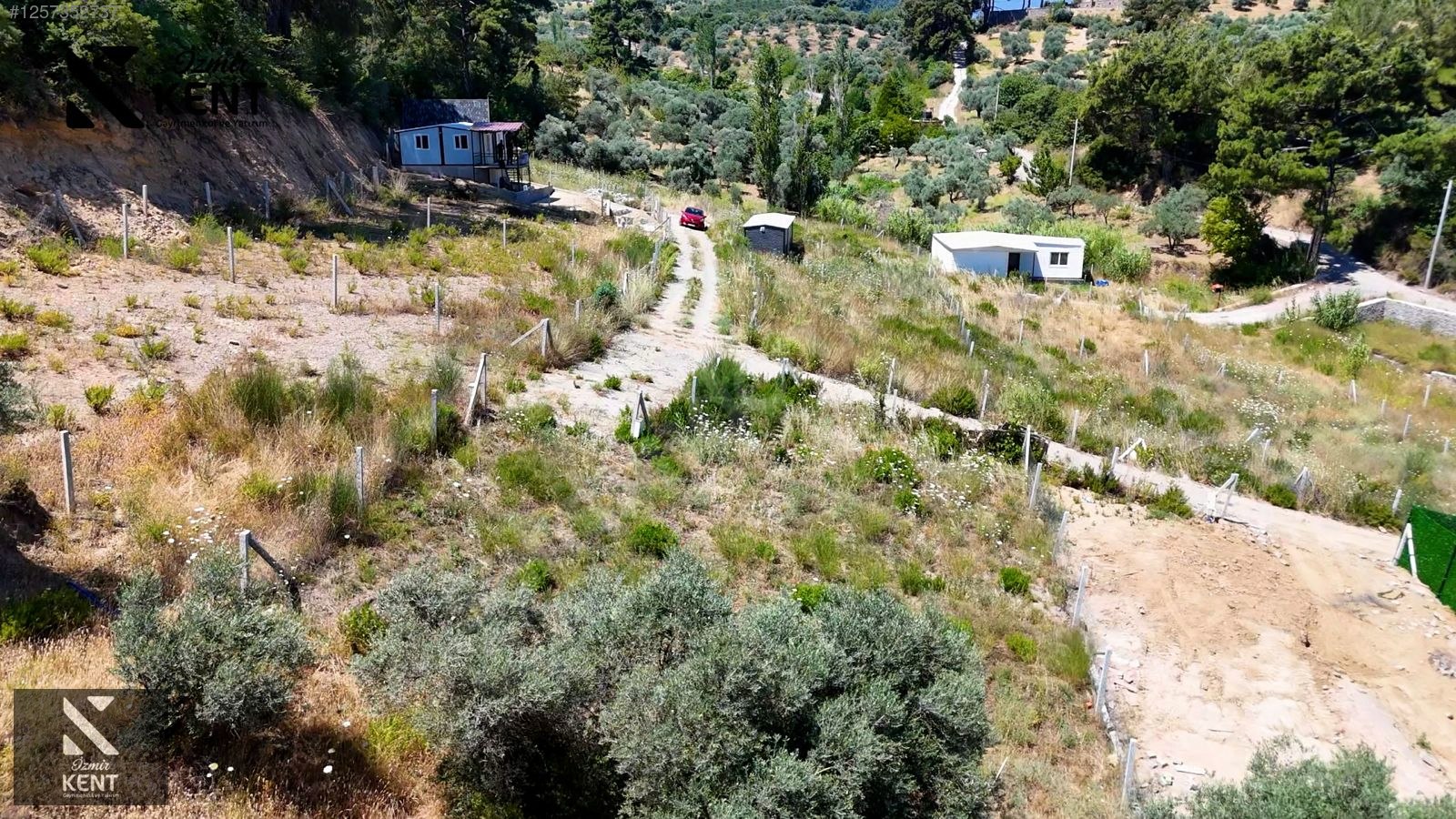 Fotoğraf