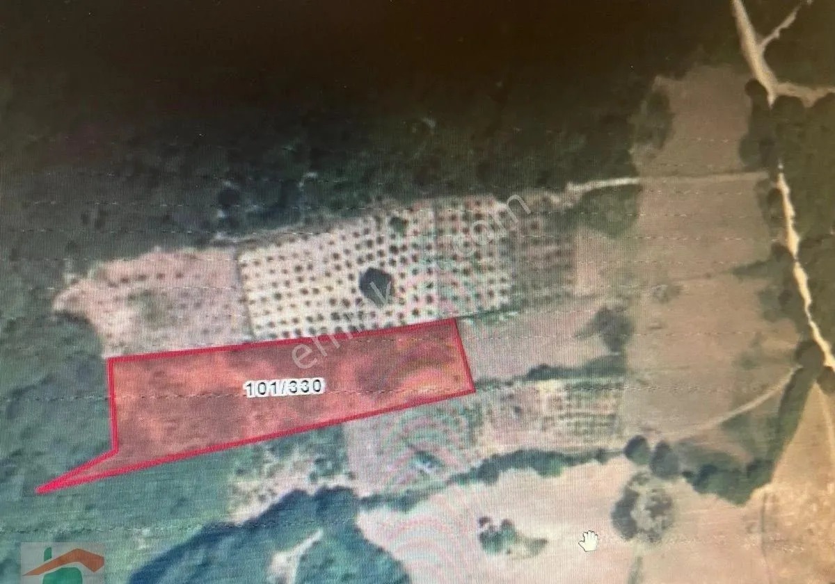 Yeşilkale Köyü, 3.541 M2 Fındıklık