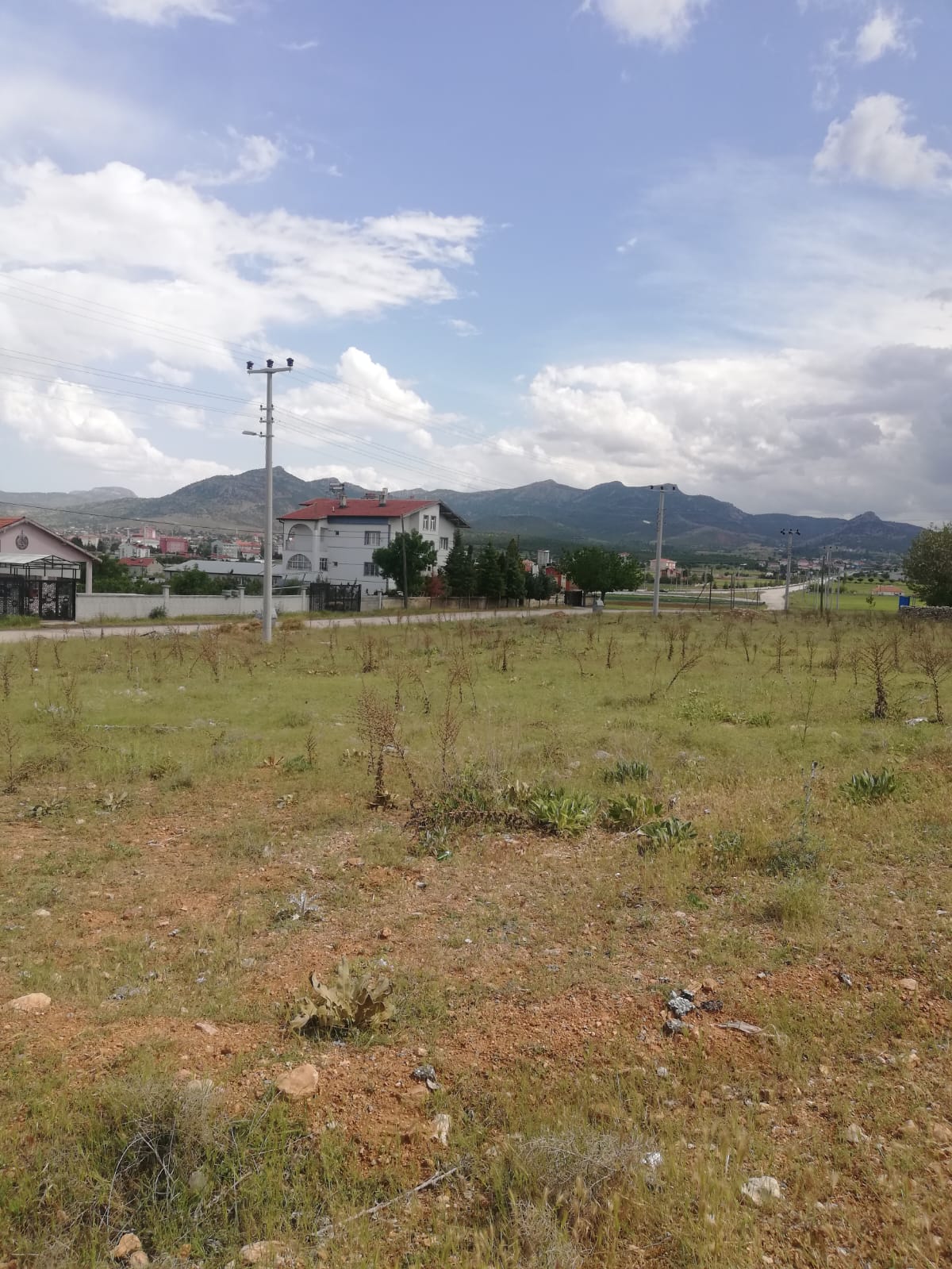 Fotoğraf