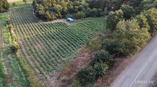 Balıkesir/Gönen'in Doğa İle İç İçe Köyünde 9.050 m² ve 7.260 m² Sulu(Pompaj) Tar