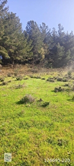 İlan Fotoğrafı