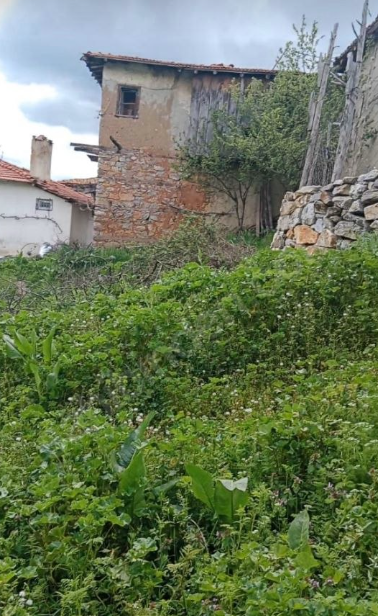 Fotoğraf