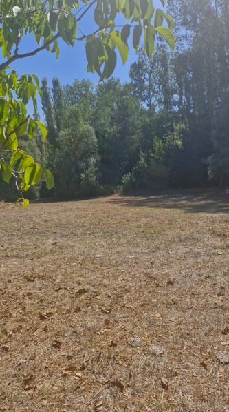Fotoğraf