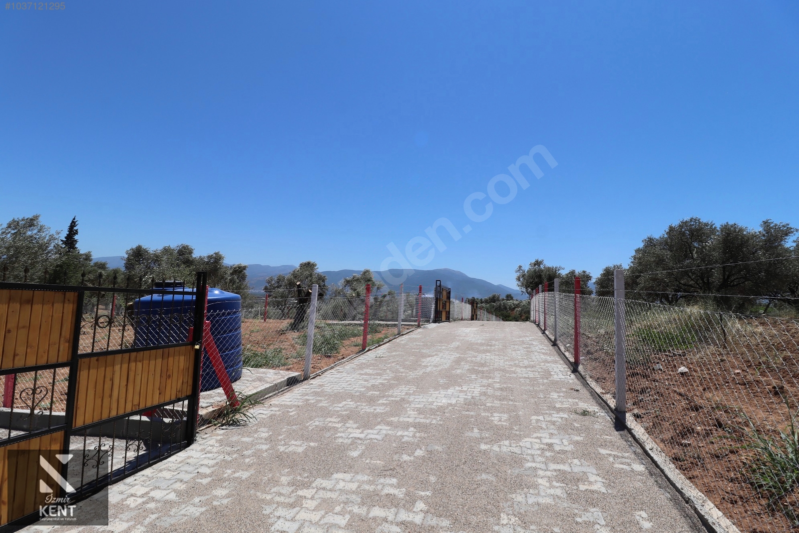 Fotoğraf
