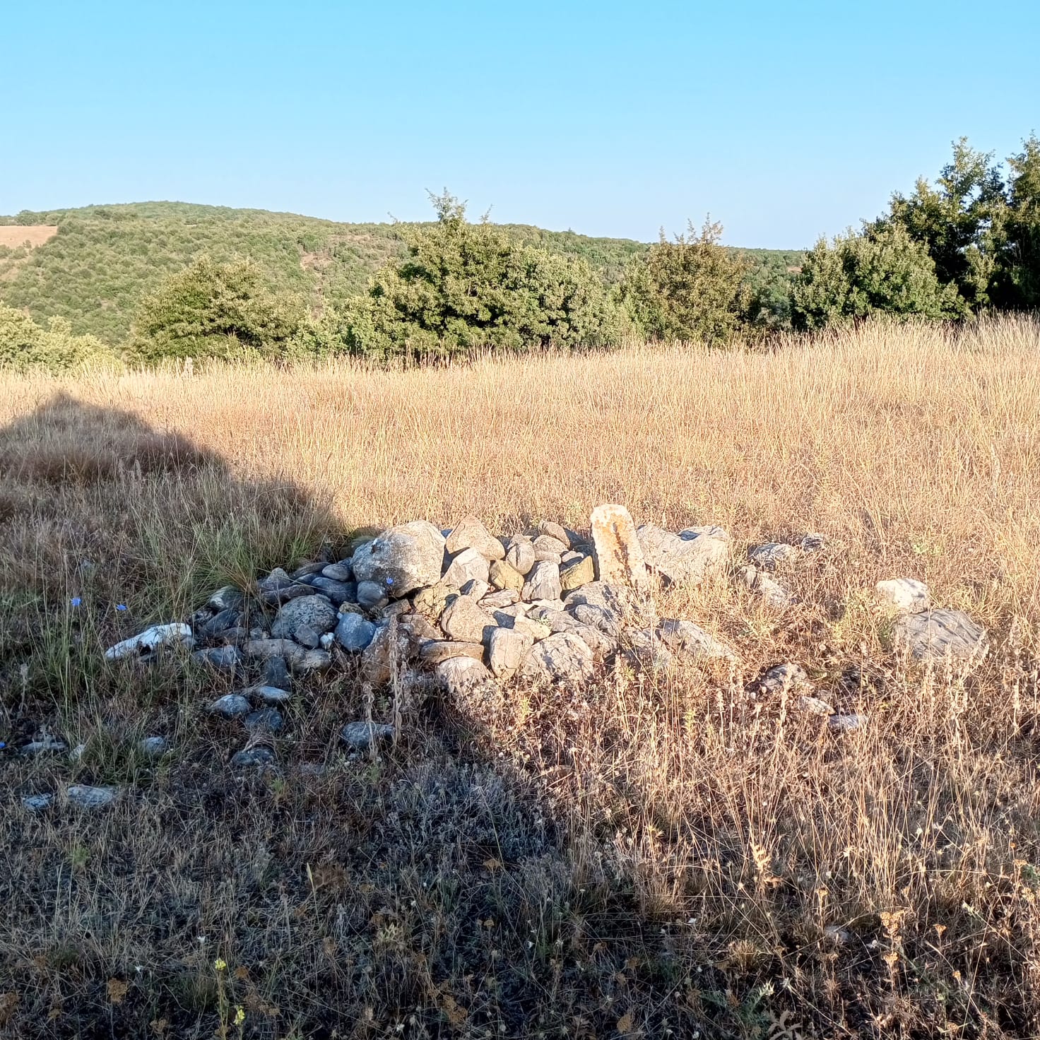 Fotoğraf