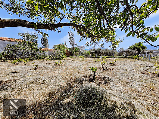 Kemalpaşa Armutlu Satılık 1120 m2 Bahçe
