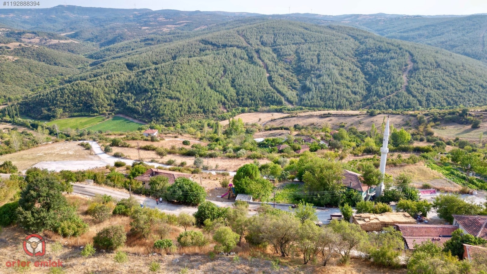 Fotoğraf