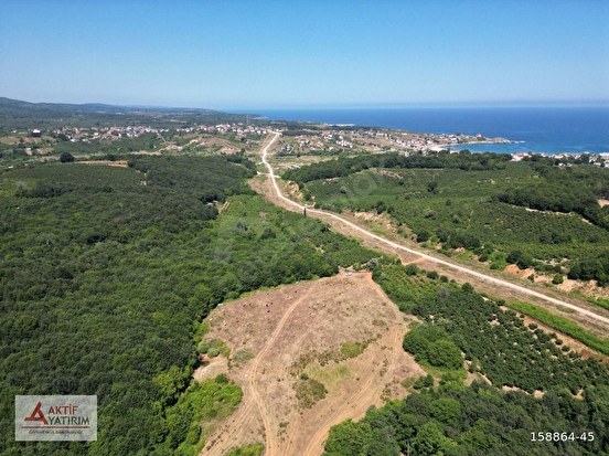 ORMANLA ÇEVRİLİ PLAJA YÜRÜME MESAFESİNDE 2118 M2 SATILIK HİSSE