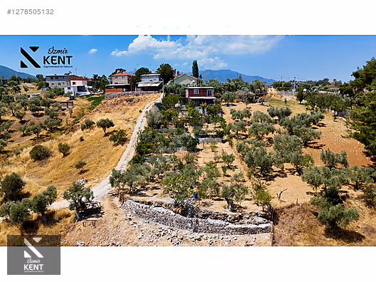 İlan Fotoğrafı