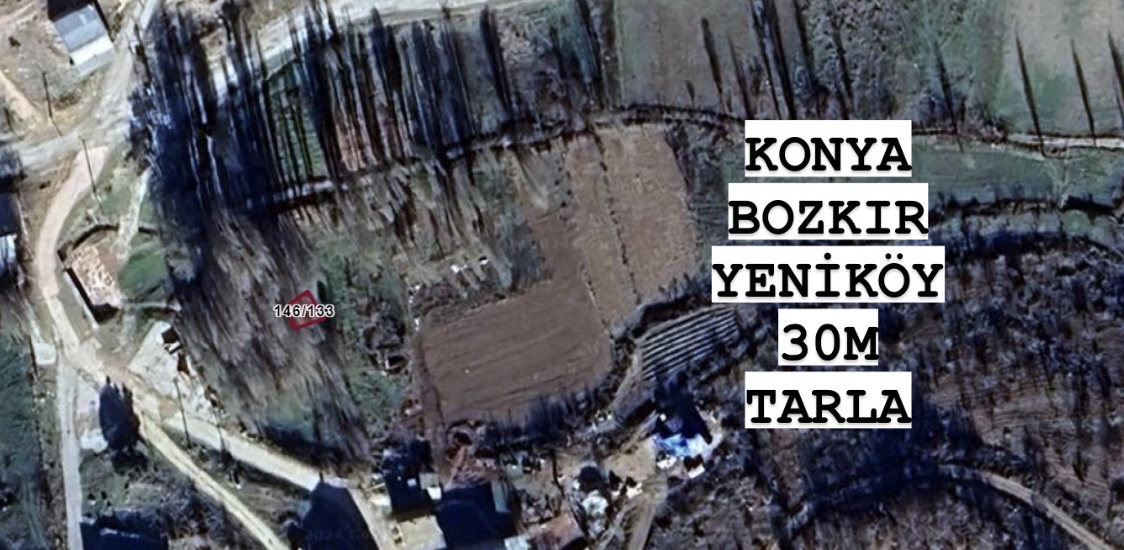 Fotoğraf