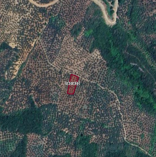 Fotoğraf