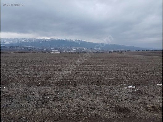 İlan Fotoğrafı