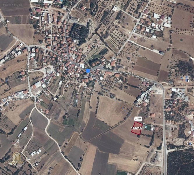 Fotoğraf