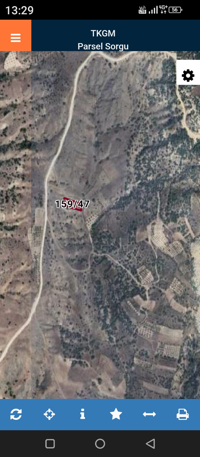 Fotoğraf