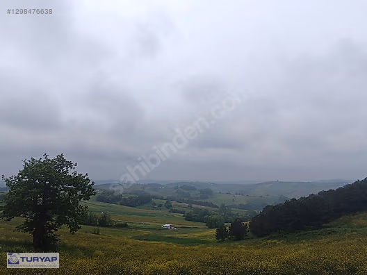 TURYAP KOZA'DAN SEVİNDİKLİ'DE SATILIK TARLA