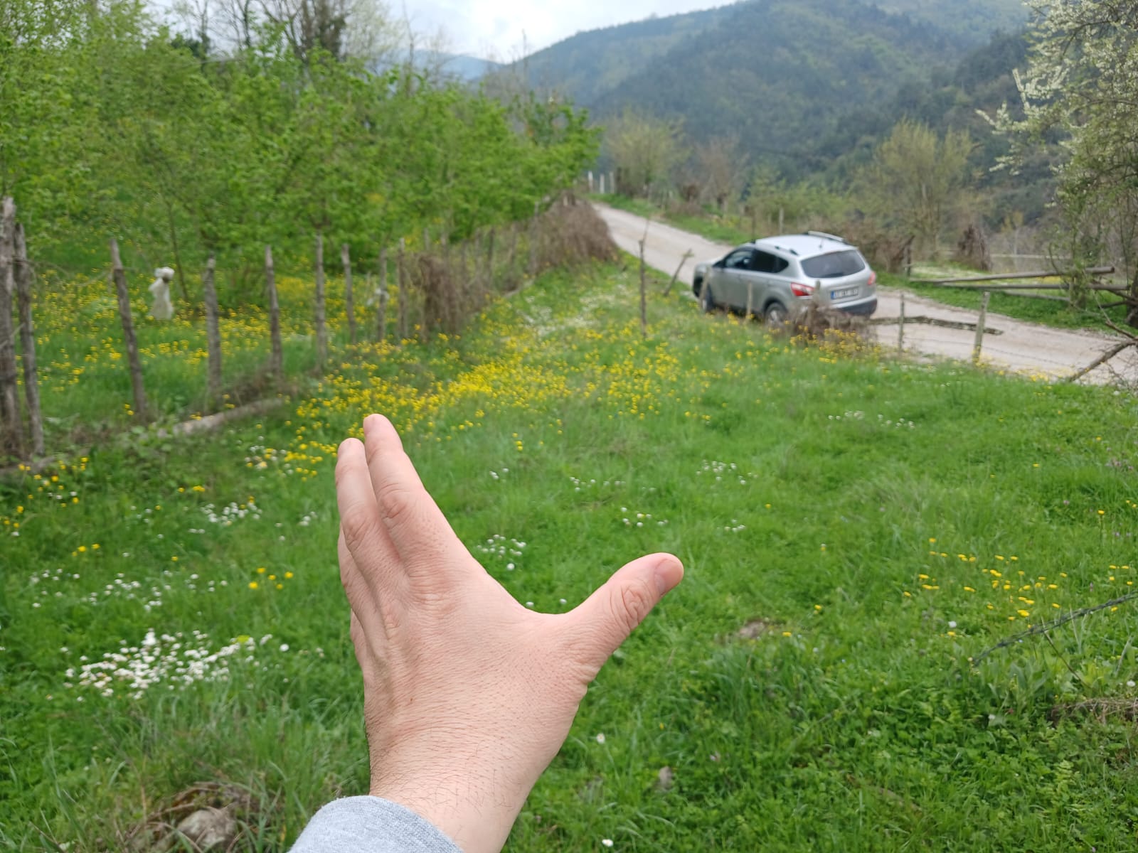 Fotoğraf