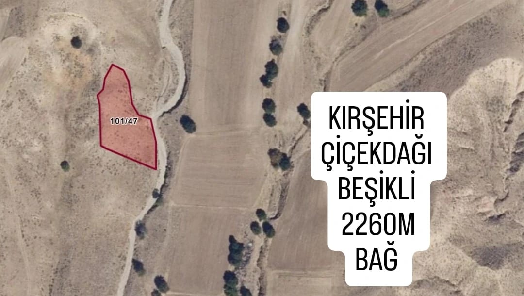 Fotoğraf