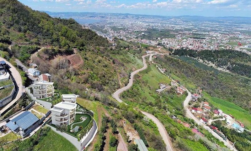 Fotoğraf