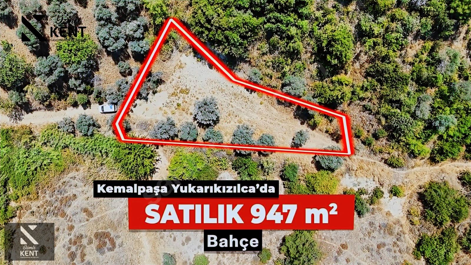 Fotoğraf
