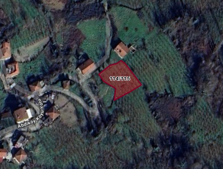 Fotoğraf