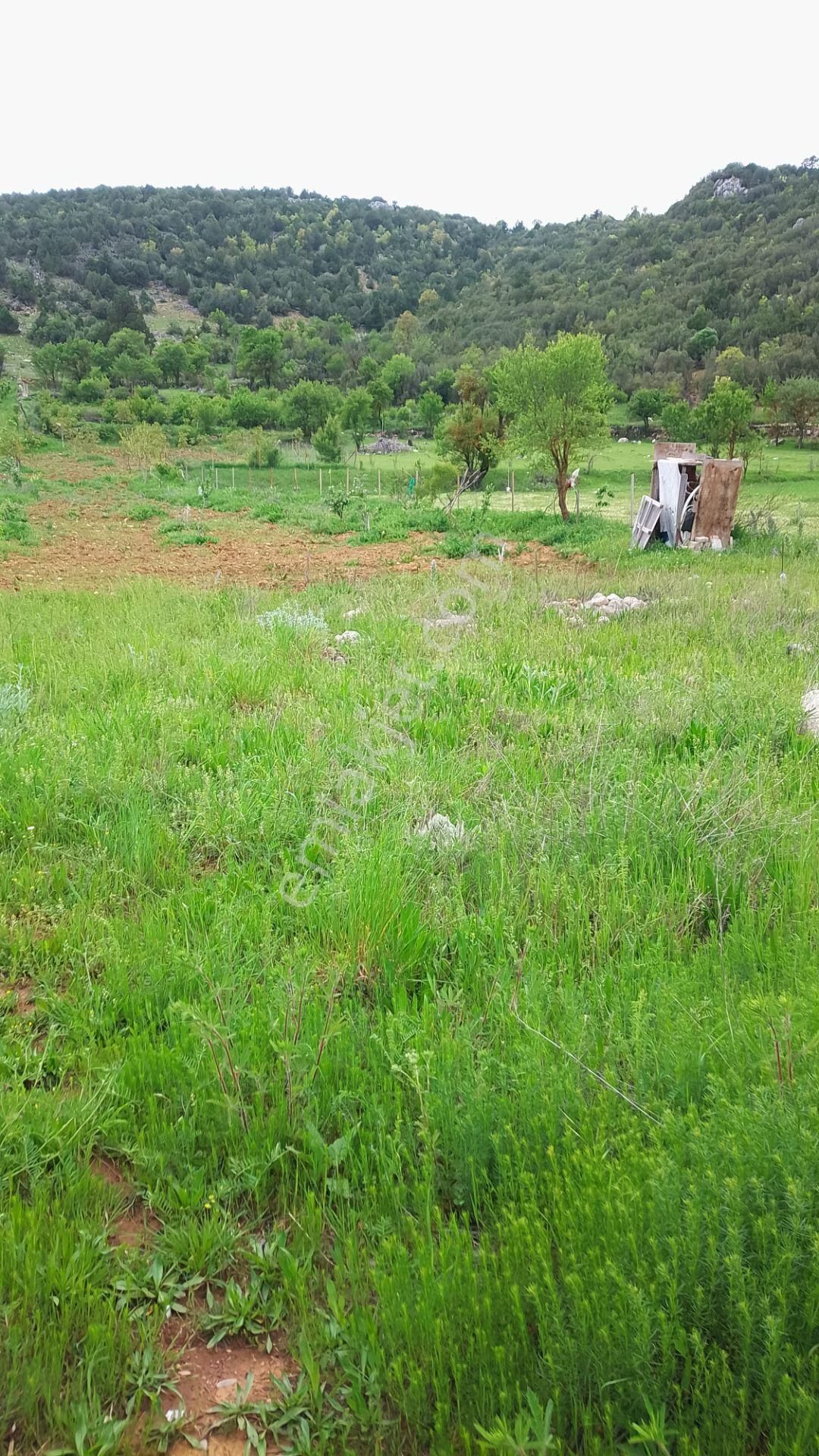 İlan Fotoğrafı