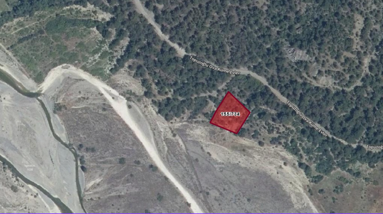 Fotoğraf