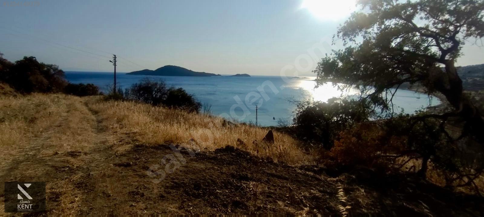 Fotoğraf