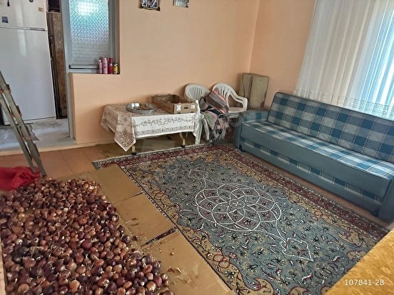 Fotoğraf