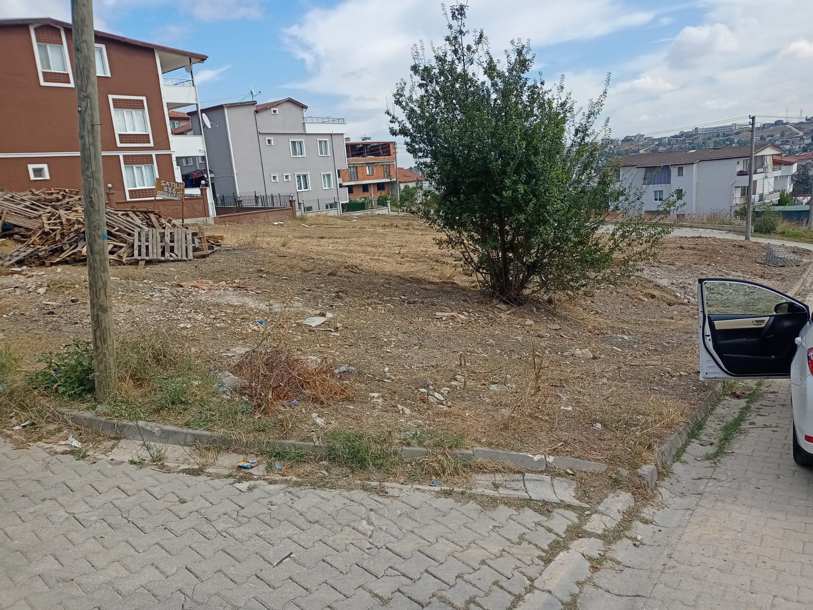 Fotoğraf