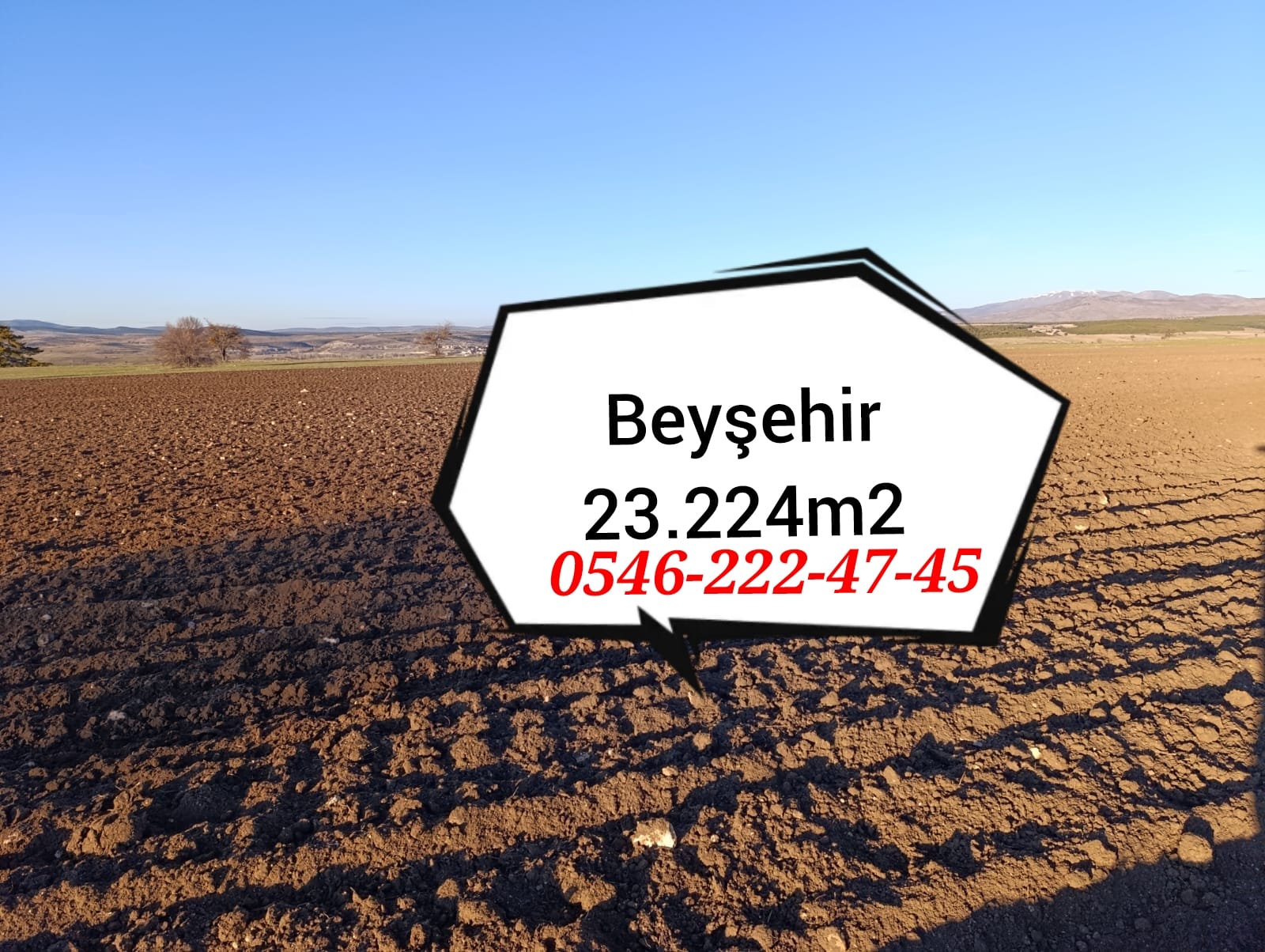 Fotoğraf