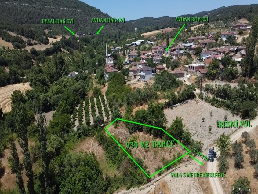 Fotoğraf