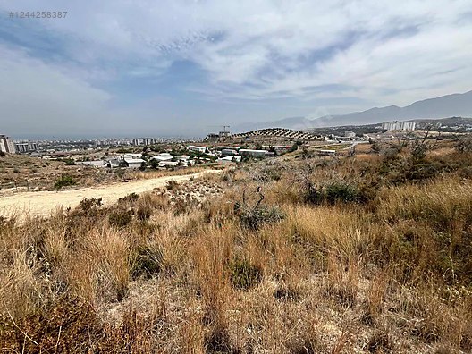 İlan Fotoğrafı