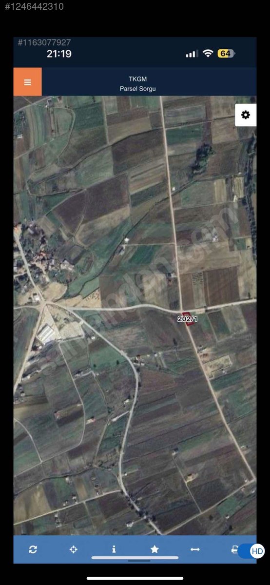 Fotoğraf