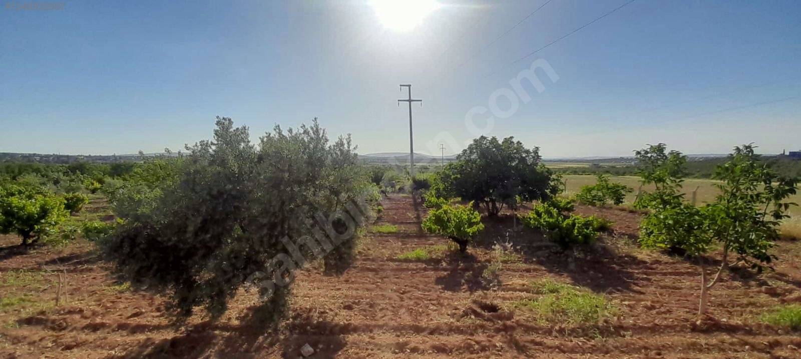 İlan Fotoğrafı