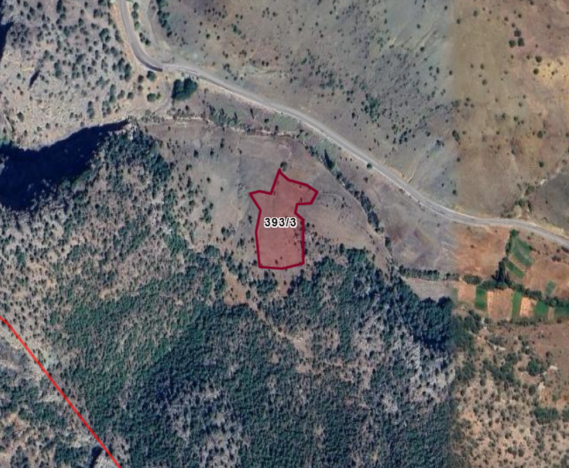 KONYA HADİM SARNIÇ  KÖYÜNDE 4.656 M² BAĞ  SATILIKTIR