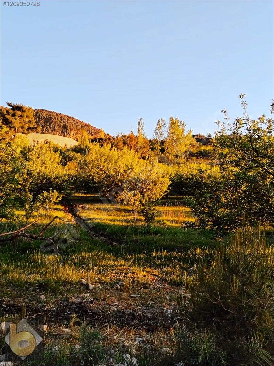 İlan Fotoğrafı